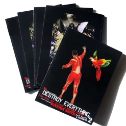 Destroy Everything Fanzine #2 - Cut Paste Destroy!