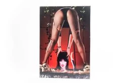 ELVIRA Jigsaw Puzzle (Version 'A')